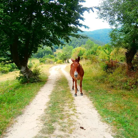 Mitnitsa And Tkzs Biliantsi Hotel